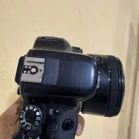canon 250d 4K|دوربین عکاسی و فیلم‌برداری|بندرعباس, |دیوار