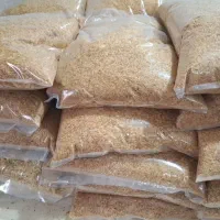 پیاز داغ