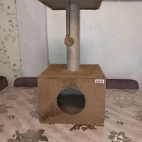 اسکرچر گربه همراه با جای خواب