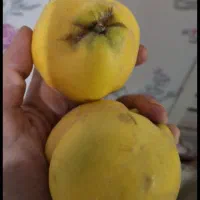 فروش به محلی