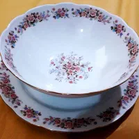 سرویس چینی پُرگل قدمتدار|ظروف سرو و پذیرایی|رشت, حاجی آباد|دیوار