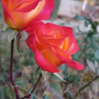 راهنمایی میخوام