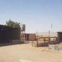 ۵ جریب گاوداری پرواری|فروش دفتر صنعتی، کشاورزی، تجاری|اصفهان, عباس‌آباد|دیوار