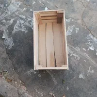 صندوق انگور