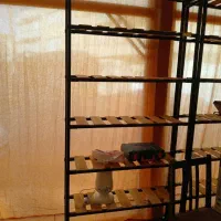 رگال ۷طبقه