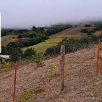 فروش-یا-معاوضه-زمین-860-متری-با-جواز-ساخت-اماده