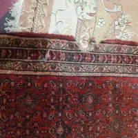 فرض دست بافت|فرش|کرمانشاه, |دیوار