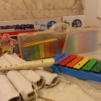 آموزش موسیقی کودک بلز فلوت ارشدموسیقی مدرس خانم