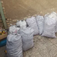 زغال