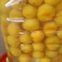 خوج ابکرده آلبالو آلوچه ازگیل سیر|خوردنی و آشامیدنی|رشت, لاکانی|دیوار