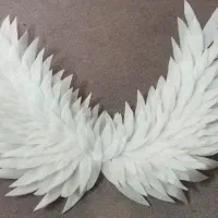 بال فرشته مخصوص تم جشن تولد