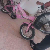 دوچرخه