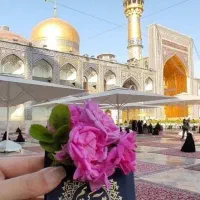 ثبت‌نام بدون پیش‌پرداخت، کربلا، مشهد اقسلط