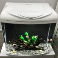 آکواریوم شرکتی دلسا|ماهی|قم, حنیف نژاد|دیوار