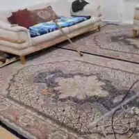 آپارتمان رهن او کرایه معین زاده چهار واحد