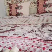 تخت خواب دونفره منبتی