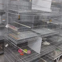 قفس هشت خان بازاری و پژاوند