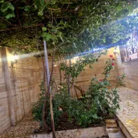 سوییت ویلایی لوکس VIP|اجارهٔ کوتاهمدت آپارتمان و سوئیت|زنجان, |دیوار