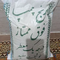 برنج چمپا