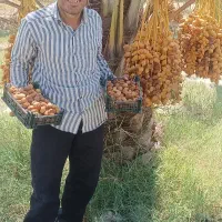 شیرین و مقوی ر. ط. ب|خوردنی و آشامیدنی|شیراز, شاهچراغ|دیوار