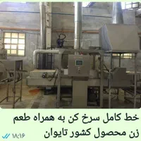 دستگاه سرخ کن صنعتی  اتوماتیک