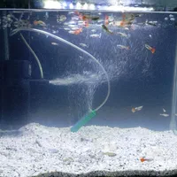 آکواریوم شیشه خم با ماهی گوپی