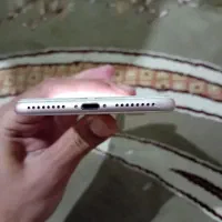 7plus 32g|موبایل|قزوین, |دیوار