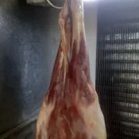 گوشت گوسفندی گرم درجه۱،فقط وفقط  ۱/۳۵۰/۰۰۰ت