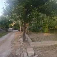 زمین مسکونی /دریاسر/ قابلیت تفکیک به ۲ پلاک