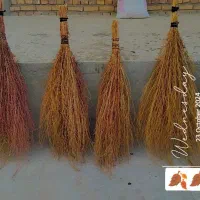 جارودستی