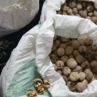 فروش گردوبازفت گردوعالی عمده وخرده|حراج|شوشتر, |دیوار
