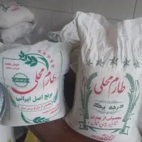 برنج طارم محلی