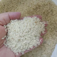 برنج درجه یک صدری دم‌سیاه لایین