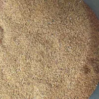 تخم یونجه اصل