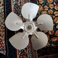یک‌عدد‌فن‌سالم‌ودرحد‌نو