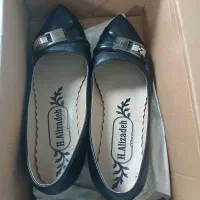 کفش مجلسی|کیف، کفش، کمربند|اقبالیه, |دیوار