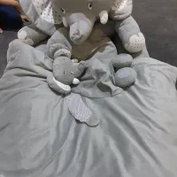 تشک گارد داربچه