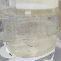 بخار پز عالی برای ورزشکاران و باشگاه داران|ظروف پختوپز|رشت, کاکتوس|دیوار