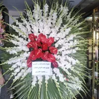 تاج گل|گل و گیاه طبیعی|تهران, جنت‌آباد جنوبی|دیوار