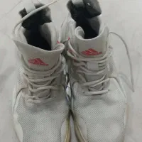 کفش والیبال adidasدرحد نو|کیف، کفش، کمربند|مشهد, کارمندان دوم|دیوار