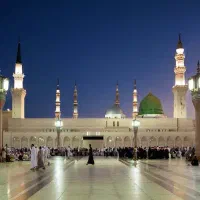 فیش عمره|تور و چارتر|مشهد, کوی راد|دیوار