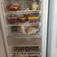 یخچال دوقلو مارک سیلوان|یخچال و فریزر|فلاورجان, |دیوار