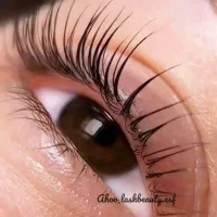 جشنواره زیبایی چشم و ابرو|خدمات آرایشگری و زیبایی|اصفهان, شیخ اشراق|دیوار