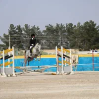 مادیان اخال تکه ترکمن ۷ ساله