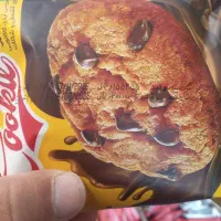 استخدام بازاریاب صنایع غذایی رضوی ‌