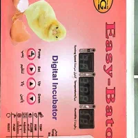 دستگاه جوجه کشی|لوازم جانبی حیوانات|اسالم, |دیوار