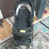 کالسکه دلیجان نو نو