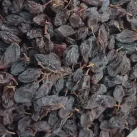 مویز|خوردنی و آشامیدنی|کازرون, |دیوار