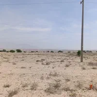 زمین کشاورزی با سند تک برگ