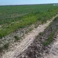 اجاره۱۲هکتارR1|اجارهٔ دفتر صنعتی، کشاورزی، تجاری|امیدیه, |دیوار